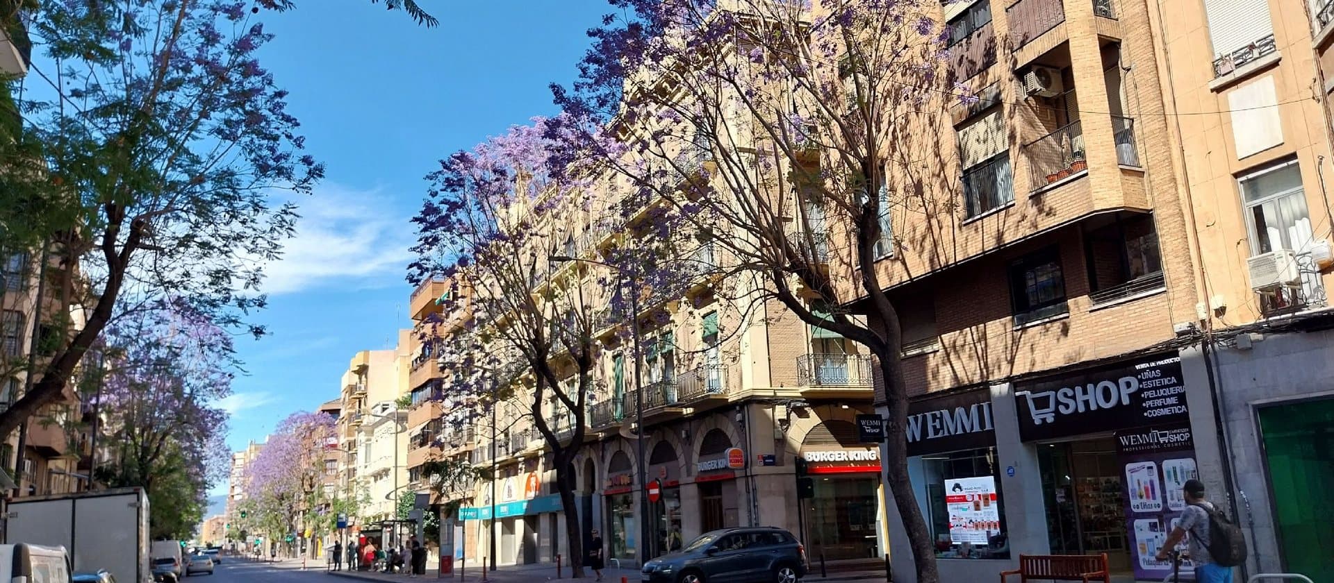 Vista de Murcia.